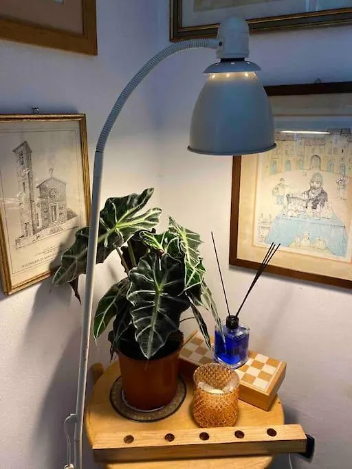 Casanina,La Tua Casa Al Mare Villa Cinquale Holiday home